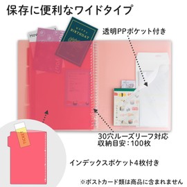 Kyokuto Papeleur Brume LN224P Binder, A4, 30 Holes, Pink