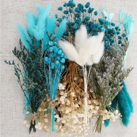 WGXX 12 Kinds DIY Natural Dried Flower Set Bulk Dried Flowers for Vase Handmade DIY Mini Flowers Bouquet for Crafts Arts Wreath Table Home Decor (Blue)