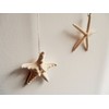 Hawaiian Decor Starfish 7P Ornament Starfish Garland Hawaiian Sundries Display