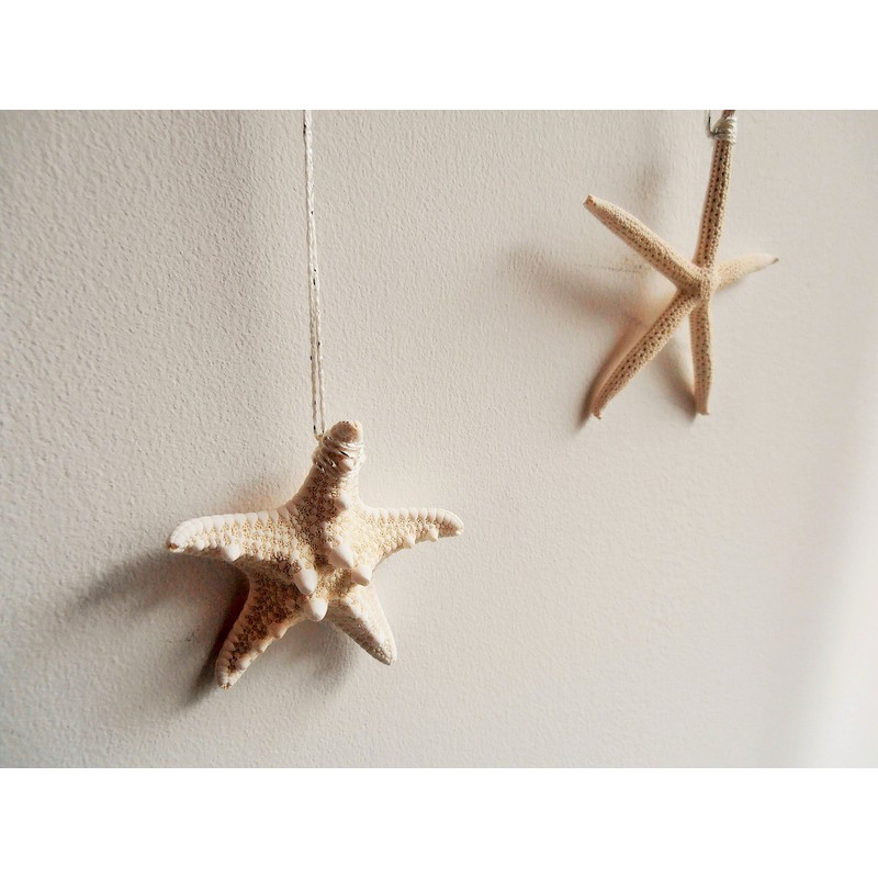 Hawaiian Decor Starfish 7P Ornament Starfish Garland Hawaiian Sundries Display