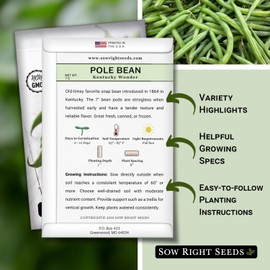 Sow Right Seeds - Kentucky Wonder Pole Bean Seeds for Planting - Non-GMO Heirloom Packet with Instructions to Plant a Home Vegetable Garden - Long Green Bean - Stringless Variety (2)
