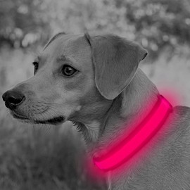 Illumifun Glowing LED Dog Collar - USB Rechargeable Mesh Pet Safety Collar, Adjustable Light Up Collars for Night Dog Walking