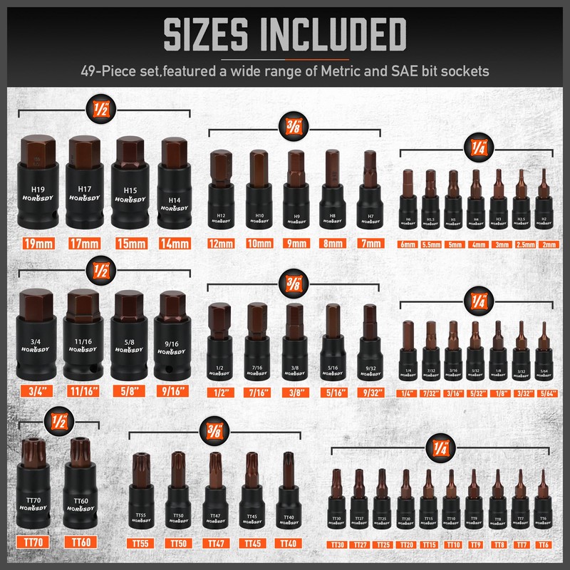 HORDSY 66-Piece Allen & Torx Bit Socket Set - S2