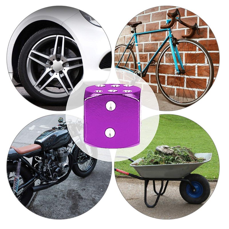 HERIS 4pcs Dice Style Tire Valve Stem Caps for Car