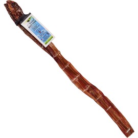 Natural Cravings USA Standard Steer Bully Sticks | All Natural | Odor Free | High Protein | Premium Quality Dog Chews | 12" - 5 Pack