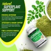 Moringa Capsules 1200mg – Pure Moringa Powder for Immune &