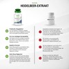 Fairvital | Heidelbeer-Extrakt mit Anthocyanen - 90 Kapseln - HOCHDOSIERT