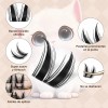Jr Cat Eye Ojos De Gato Kit De Pestañas Jms&amp;jms