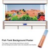 Aquarium Poster PVC Self Adhesive Waterproof 3D Desert Style Fish