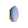 Window Handle Oval White and Brass QUINCADECO