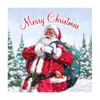 Eurowrap Pack of 12 Assorted Christmas Cards Xmas Traditional Santa,