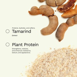 Deep Repair Hair Mask for Dry and Curly Hair – Castor Oil, Biotin, Ginger – Sulfate-Free – Be Generous by Ginger Milk – 8 oz