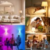 2 Pack 5200mAh Rechargeable Light Bulbs with Remote E26 Battery