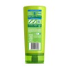 Garnier Fructis Normal Conditioner 315mL