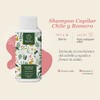 Shampoo Capilar Chile Y Romero MatiMati Sin sulfatos y Parabenos,