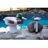 Poolmaster Easy-Read Floating Swimming Pool, Pond and Spa Thermometer, Mallard