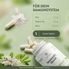 Just Jane Immunity Shield - Vitamin D3 4000 IU High