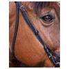 Riding World Bridle Bridle French Black Horse