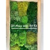 Preserved Pole Moss Pillow Moss Bun Moss Cushion Moss Natural