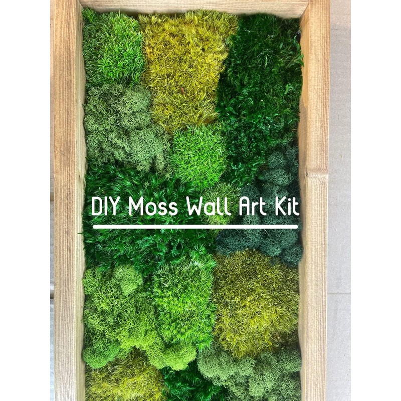 Preserved Pole Moss Pillow Moss Bun Moss Cushion Moss Natural