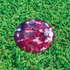 HATACHI BH6032-62 Ground Golf Marker, Grand Golf, Miyabi Marker, Accessories,