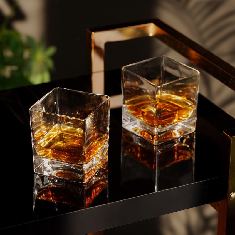 Viski Braque Rocks Short Glass Set - Old Fashioned Glass