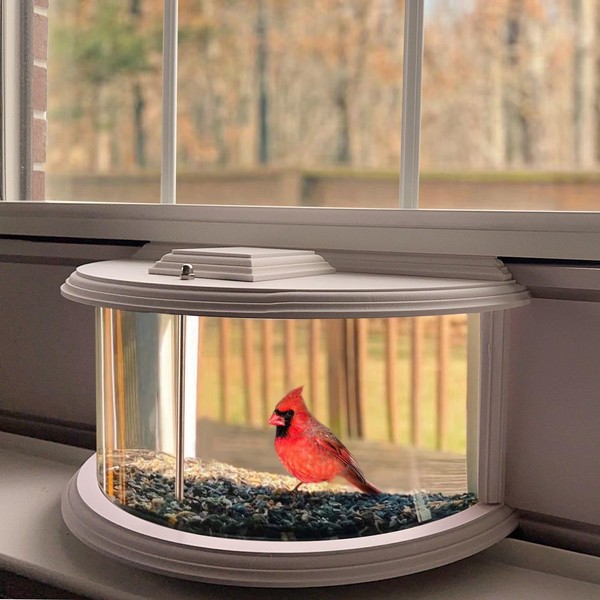 BAIAPEY in Window Bird Feeders for Viewing - 180° Clear
