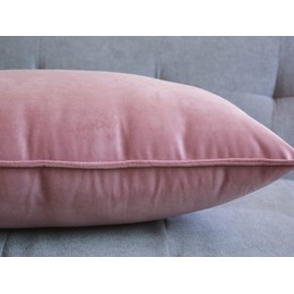 Lutanky Pack of 2 Velvet Cushion Covers Pink Decorative Rectangle Throw Pillow Case Soft Flanges Pillowcases for Sofa Bedroom with Invisible Zipper 12x20 Inch 30 x 50 cm