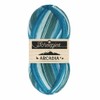 Scheepjes - Scheepjes Arcadia 906 Oasis - Resistant Sock Yarn