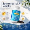 Fogoro Alpha Lipoic Acid 1500 mg - Advanced Liposomal Supplement