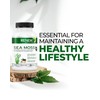 Renew Actives Sea Moss Capsules - Premium Triple-Action Antioxidant Blend