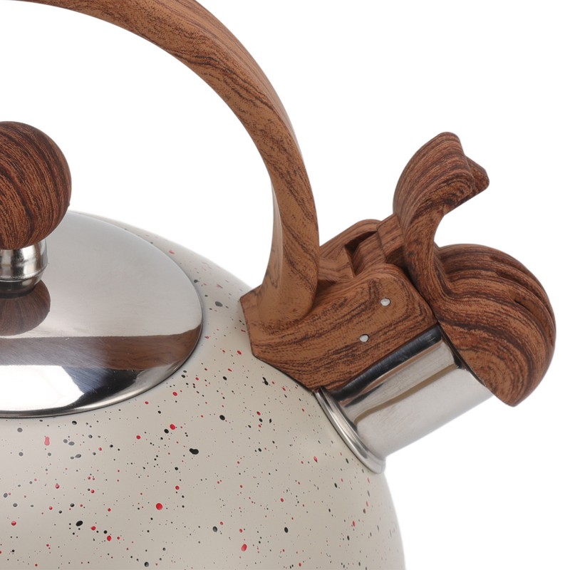 Whistling Kettle 2.5L Capacity Stainless Steel Stovetop Teapot for Water