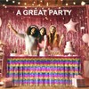 Allgala 2-Pack 29x108 Inch Metallic Foil Fringe Tinsel Table Skirts