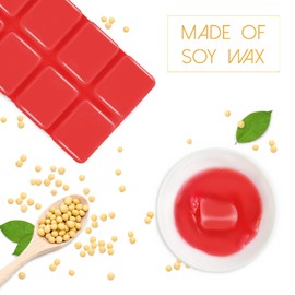 SCENTORINI Scented Wax Melts, Long Lasting Wax Melts Variety Pack 16 Scents, Scented Wax Cubes Strong Scent for Wax Warmer, Holiday Season Home Fragrances