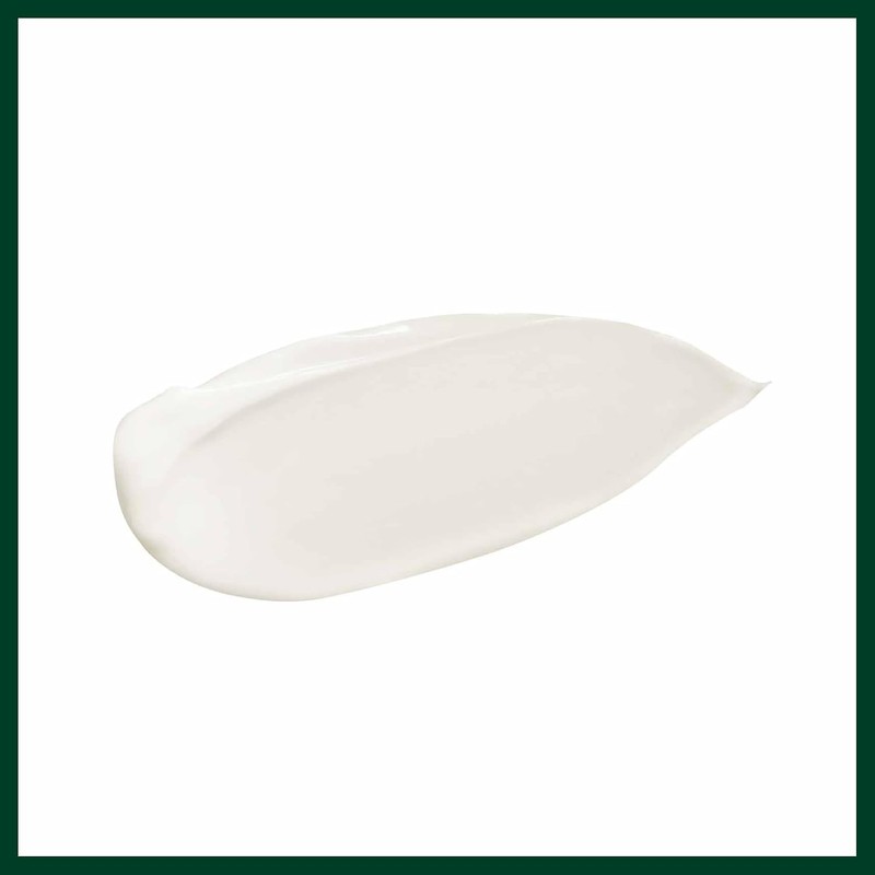 Aveda Botanical Repair Rich Mascarilla Fortalecedora Intensiva