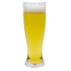 G.E.T. Heavy-Duty Shatterproof Plastic Pilsner Beer Glasses, 20 Ounce (Set
