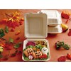 Pack Style BB Bamboo Bagasse Lunch Trays 200-220-3 605987 Pack
