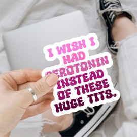 (3pcs) I Wish I Had Serotoin Instead of These Huge Txts Sticker, Funny Quotes Sticker Die-Cut Waterproof Vinyl Sticker Laptop Water Bottle Window Phone Helmet