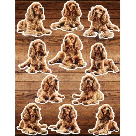 Handmade American Cocker Spaniel Die Cut Vinyl Stickers Set Notebook Laptop WaterBottle