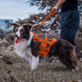 OneTigris Bolt Short Traffic Dog Leash for Small Medium Large Dogs(Orange,M)