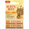 Burt's Bees Lip Balm Multipack, Chapstick Lip Balms With Honey