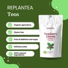 Raspberry Leaf Tea Organic 100g (50 Cups) | Rubus idaeus,