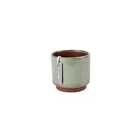 Burgon & Ball Malibu Indoor Pot, Medium, Green
