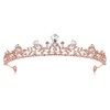 Lovelyshop Royal Crystal Princess Alloy Tiara Headpiece for Girls in