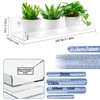 2-Pack 12 Inch Window Plant Shelves - Acrylic Suction Cup