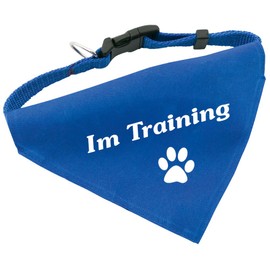 Dog collar with triangular cloth - adjustable from 32 to 55 cm, polyester, In Training