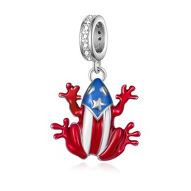 Feijiesi Puerto Rico Charms 925 Sterling Silver Coqui Frog Charm Puerto Rico Gifts for Women