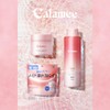 Calamee Makeup Keeping Square Pack of 50