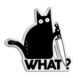 Stocking Stuffers Funny Acrylic Ornament Hilarious Cat with Design Dark Humor Christmas Tree Decoration Black Cat Black Kitten Christmas Ornament Stocking Stuffers for Girls Men