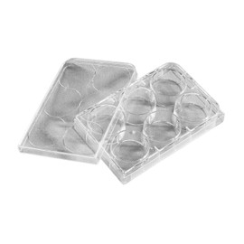 Corning Costar 3516 Polystyrene Sterile Clear Flat Bottom TC-Treated Multiple Well Plate with 6 Wells and Lid, 16.8mL Well Volume, Individually Wrapped (Case of 50)